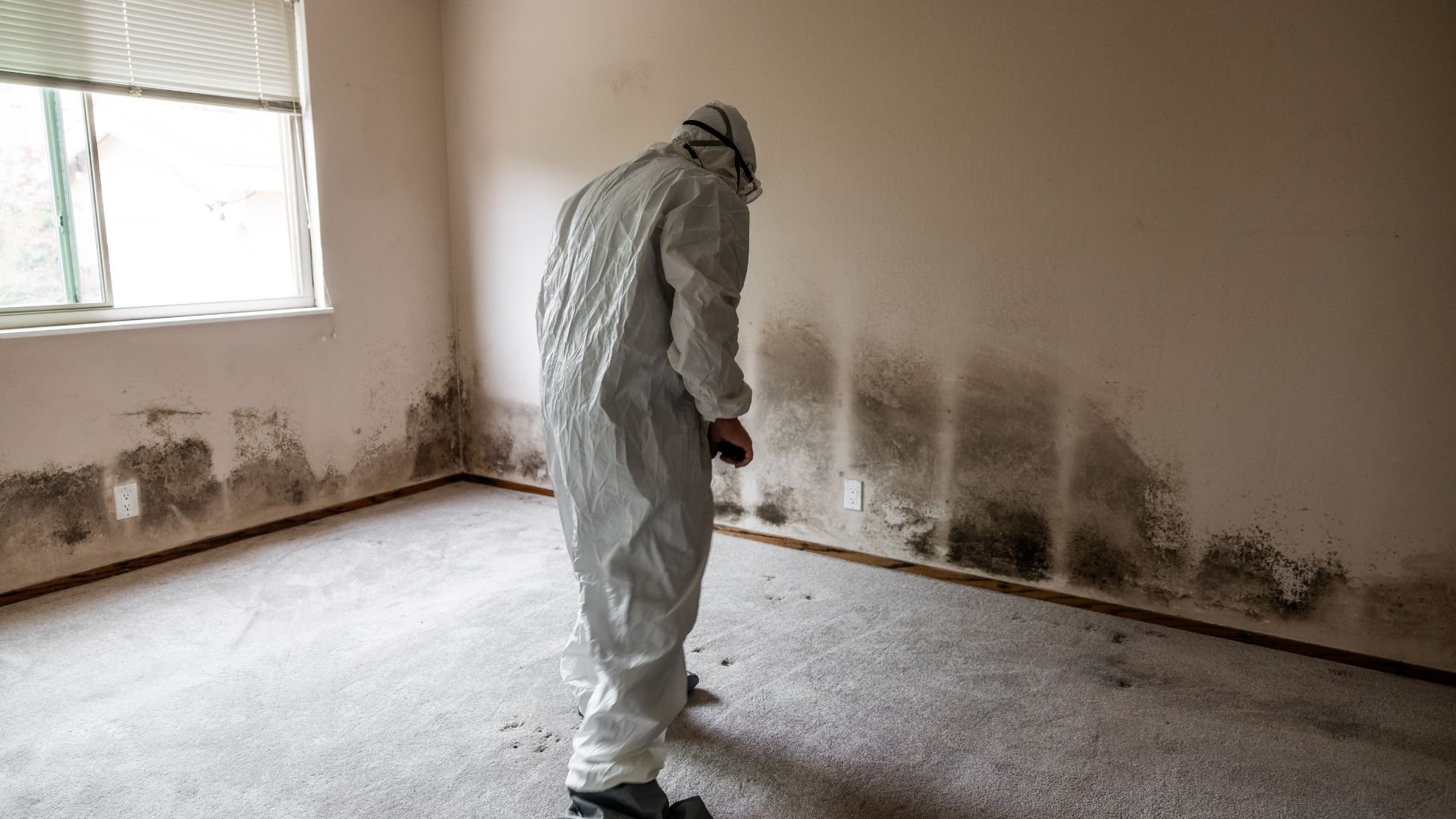 Person in protective suit examining extensive mold growth on interior wall