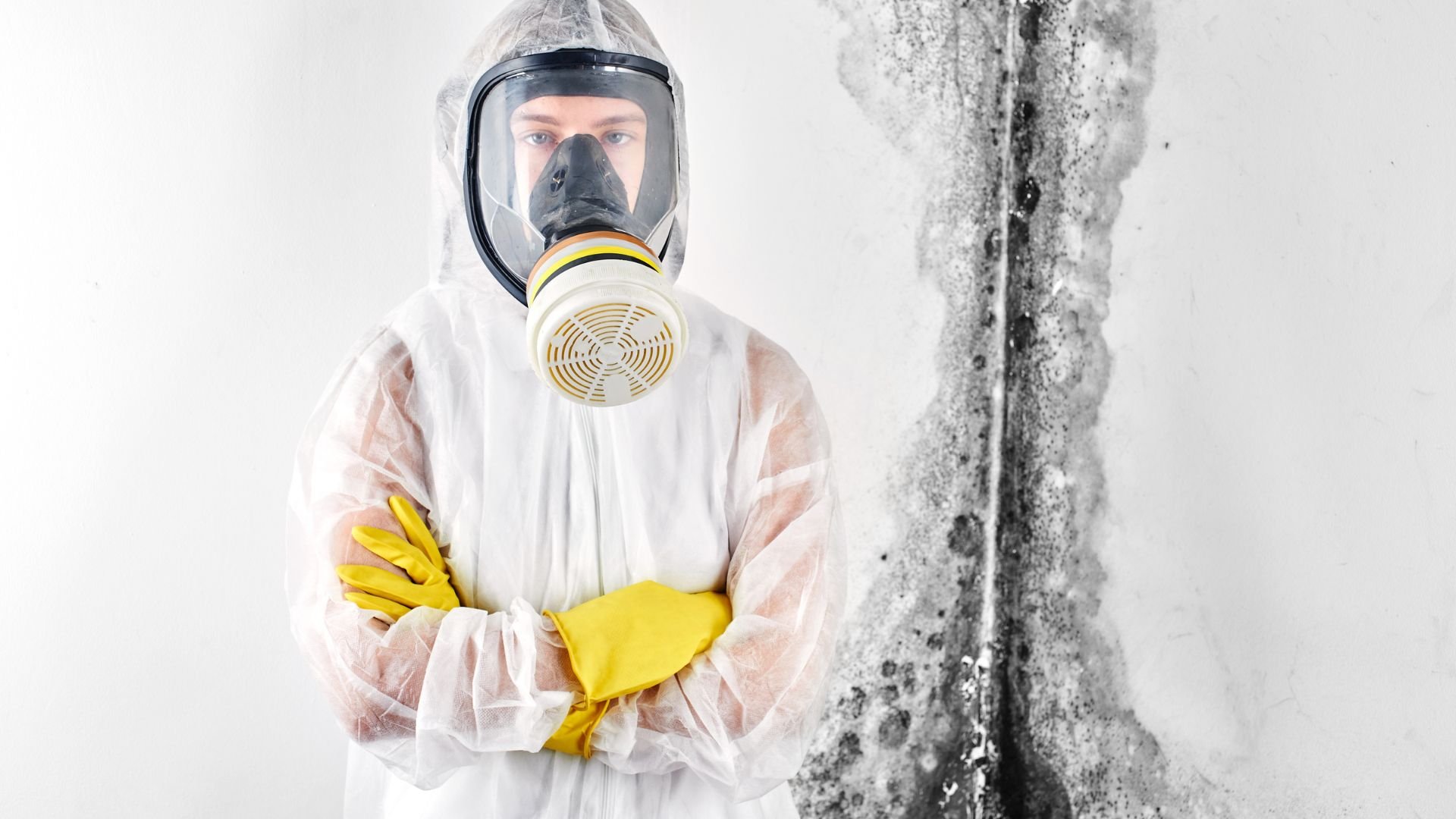 Person in protective gear examining mold growth on wall