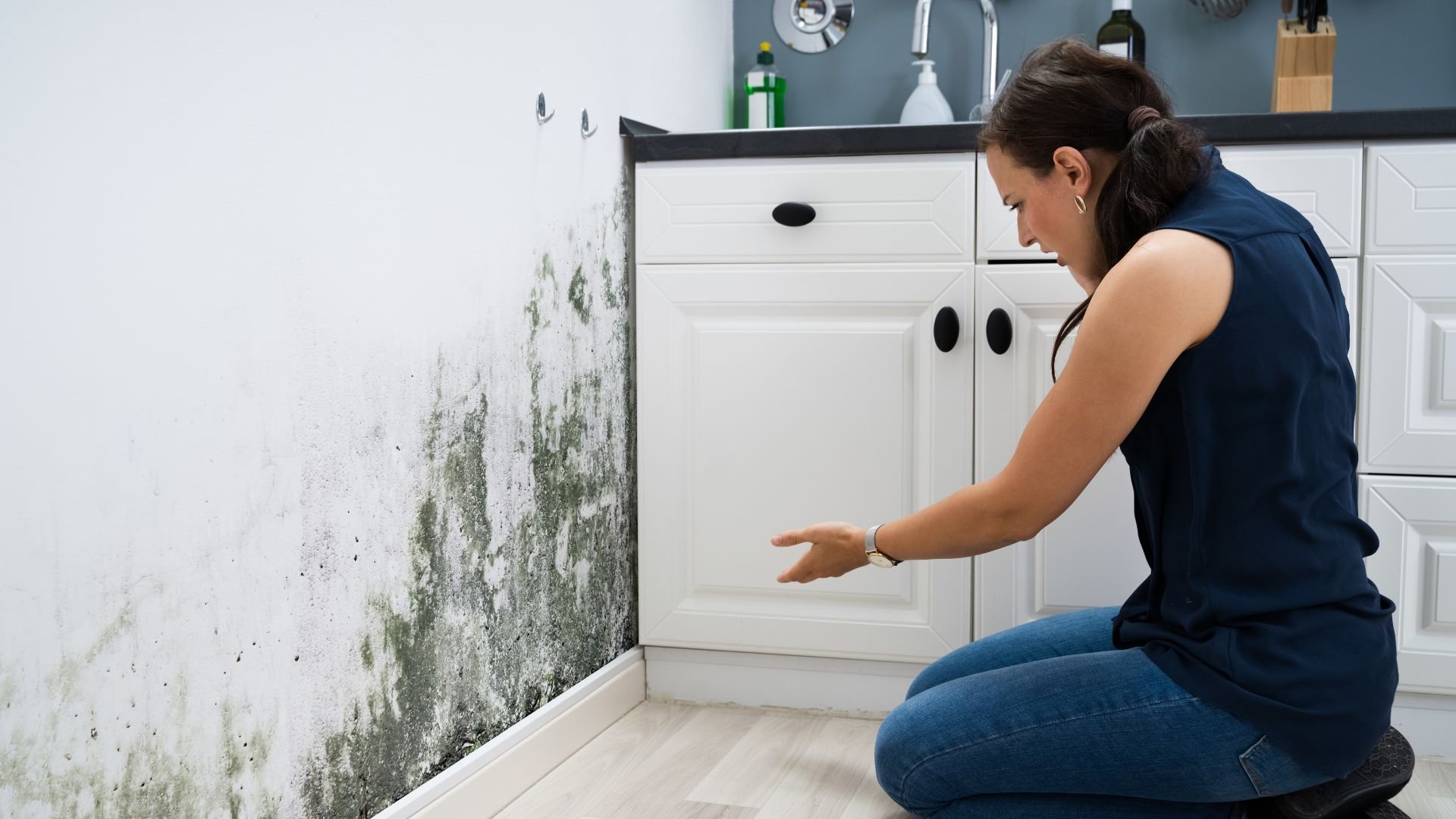 Person discovering extensive mold growth on wall near kitchen cabinets